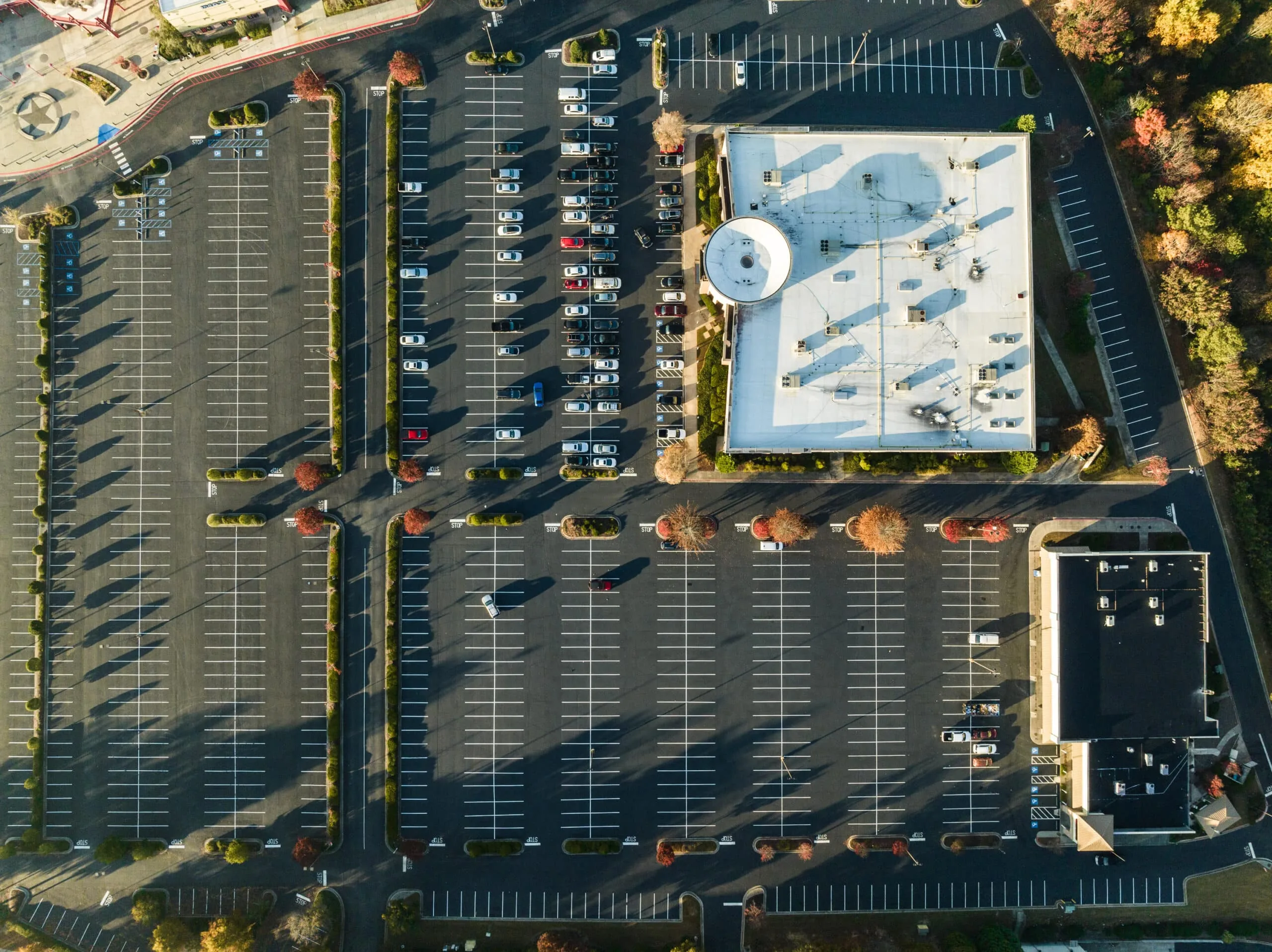 Read more about the article Asphalt Paving Process: What to Expect From Start to Finish